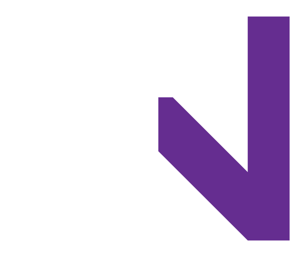 EvaNas.Media logo